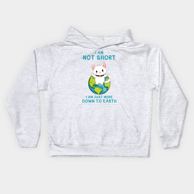 NOT SHORT JUST MORE DOWN TO EARTH CAT Funny Quote Hilarious Sayings Humor Kids Hoodie by skstring